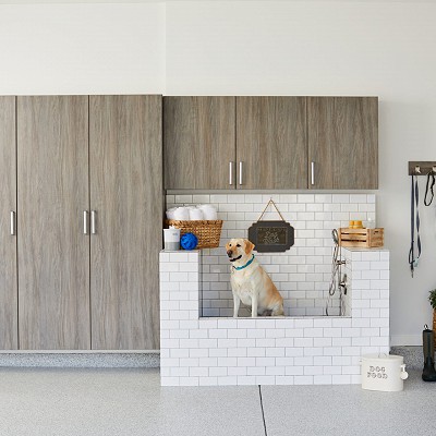 Picture 6
